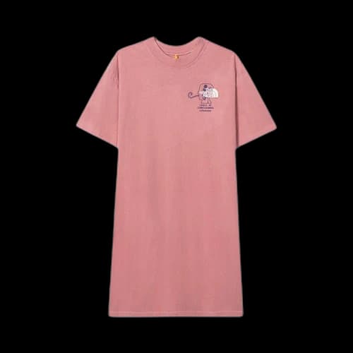 Brain Dead x The North Face T-Shirt Dress 'Rose'