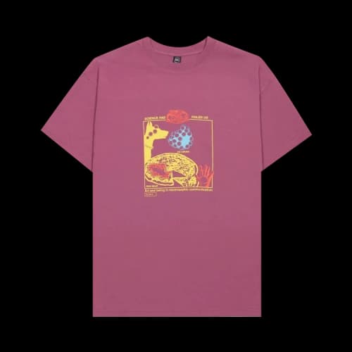 Brain Dead Failed Science T-Shirt 'Washed Pink'
