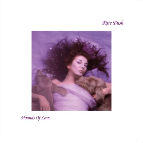 Other Hounds of Love