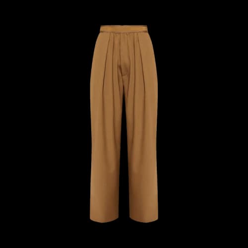 Acne Studios Wool Trousers 'Brown'
