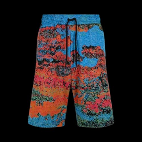 Ambush Printed Bermuda Shorts 'Blue'