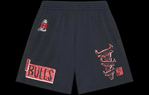 Mitchell & Ness Born And Bred Chicago Bulls Negro Shorts 'Black'