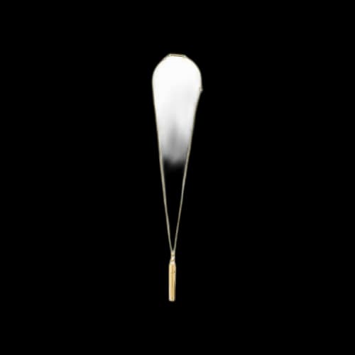 Ambush KK Pill Case Necklace 'Gold'