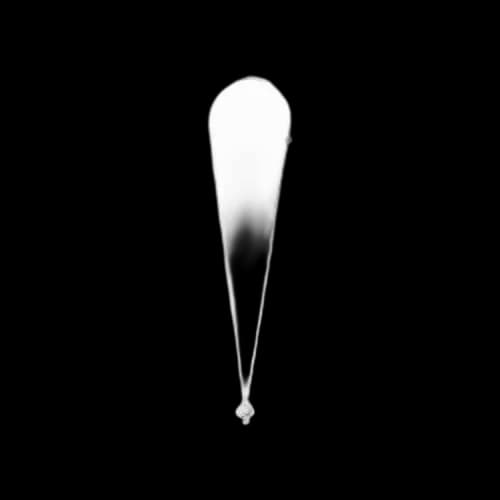 Ambush Mushroom Charm Necklace 'Silver'