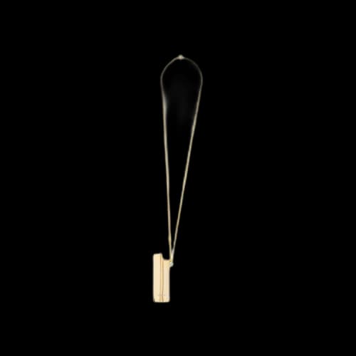 Ambush KK Lighter Case Necklace 'Gold'