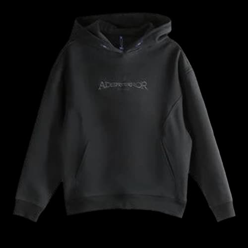 Ader Error Logo Loose Hoodies 'Noir'