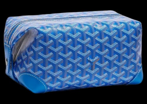 Goyard Boeing 25 Toilet Bag Sky Blue