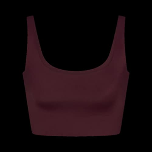 NikeSKIMS Shine Scoop Neck Bra Top 'Currant'