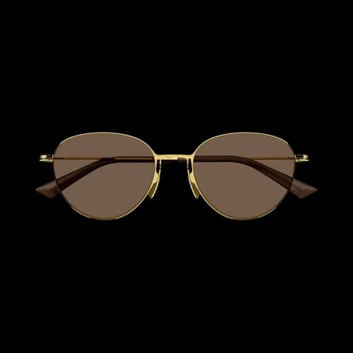 Bottega Veneta Browline Sunglasses 'Brown'