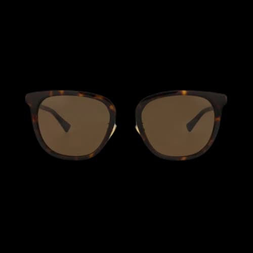 Bottega Veneta Round Sunglasses 'Havana/Gold/Brown'