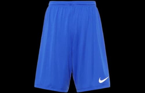 Nike Park III Shorts 'Blue'