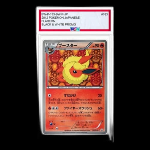 Pokemon BW-P Promotional cards [BW-P 183/BW-P] 'Flareon: PROMO'