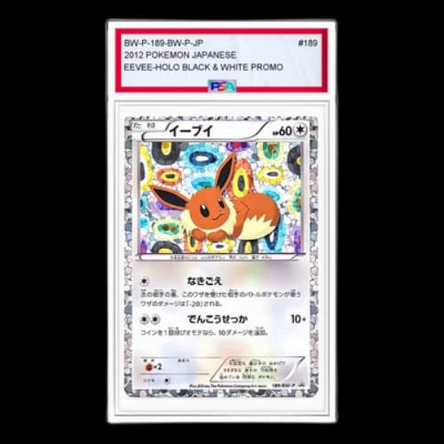 Pokemon BW-P Promotional cards [BW-P 189/BW-P] 'Eevee: PROMO'