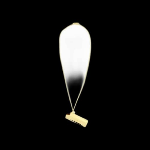 Ambush Logo Lighter Case Necklace 'Gold'