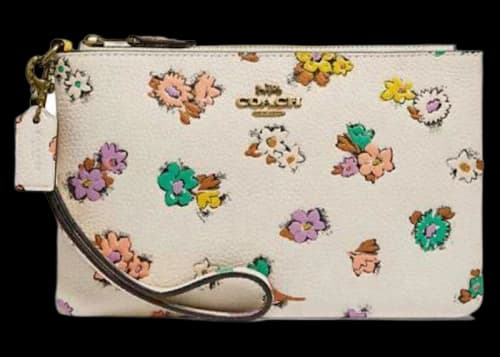 Coach Zip Wristlet Chalk/Brass