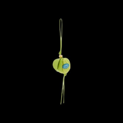 Loewe Granny Apple Charm 'Green'