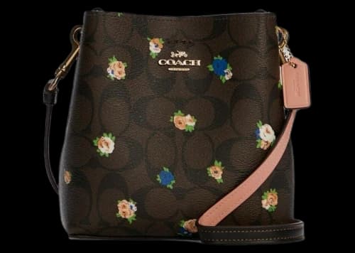 Coach Mini Town Bucket Bag Rose Print