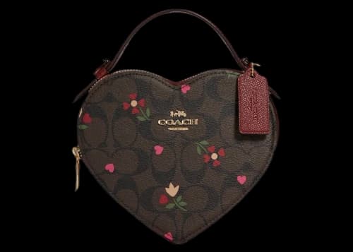 Coach Heart Crossbody Brown/Multi