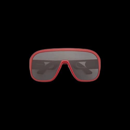 Dior Shield Sunglasses 'Red'