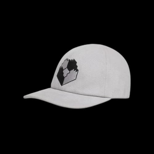 Cav Empt Zig Model Cap 'Grey'