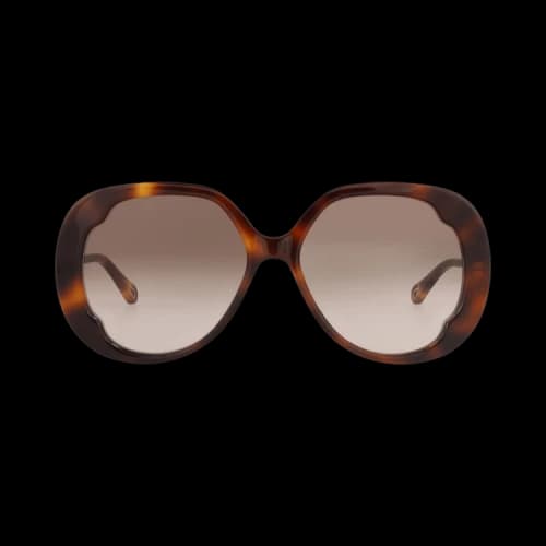 Chloé Round-Frame Recycled Acetate Sunglasses 'Havana/Brown'