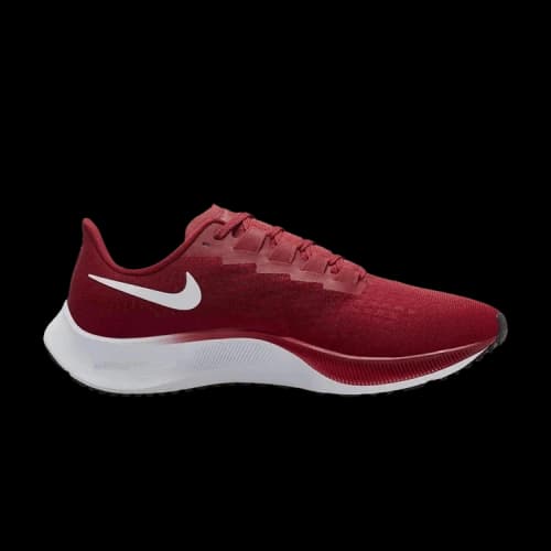Nike Air Zoom Pegasus 37 TB 'Team Crimson'