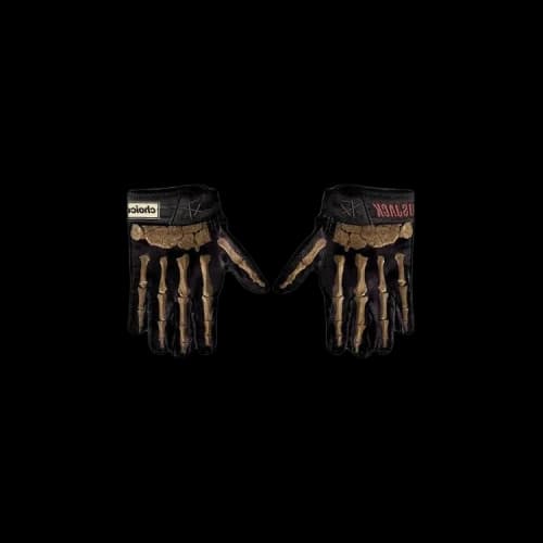 Cactus Jack by Travis Scott T-Rexx Gloves 'Black'