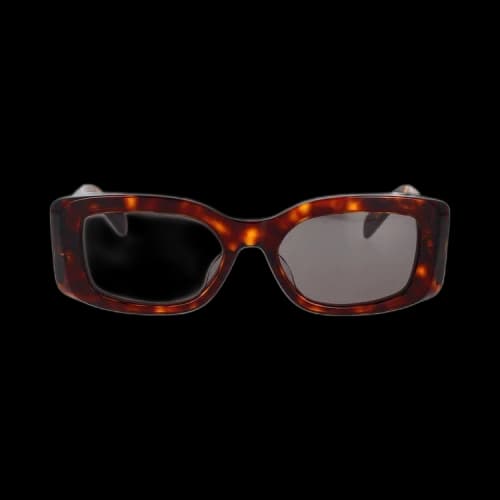 CELINE Square Sunglasses 'Dark Havana/Smoke'