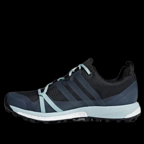 adidas Terrex Agravic GTX 'Charcoal Black Grey' (Women's)