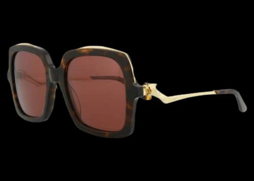 Cartier Square Sunglasses Havana/Gold/Red (CT0117S-30003112-002)