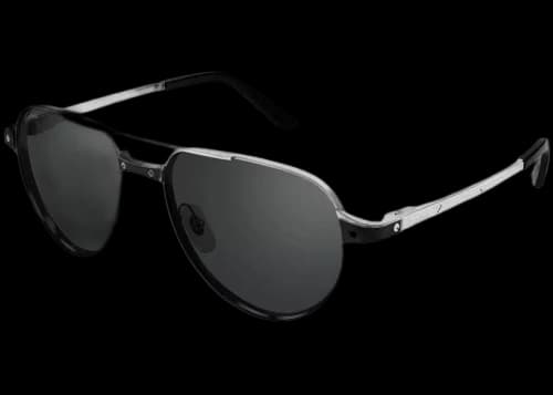 Cartier Santos De Cartier Sunglasses Silver (CT0355S-001)