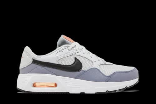 Nike Air Max SC Ashen Slate (2022)