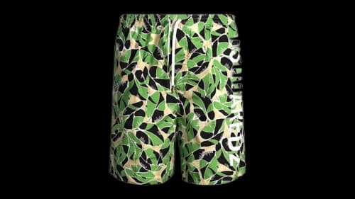 Dsquared2 Leaf Design Swim Shorts Green