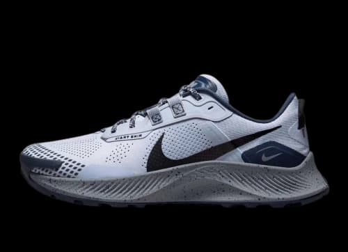 Nike Pegasus Trail 3 Ghost