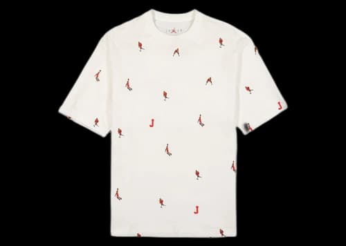 Nike Jordan Slam Dunk Holiday Tee White