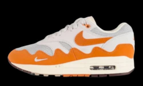 Nike Air Max 1 Patta Waves Monarch (Special Box)