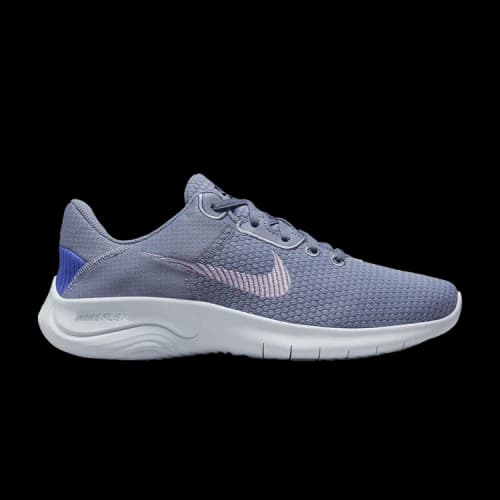 Nike Flex Experience Run 11 Wide 'Ashen Slate' (Women's)