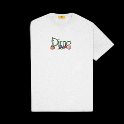 Dime Cactus T-Shirt 'Ash'