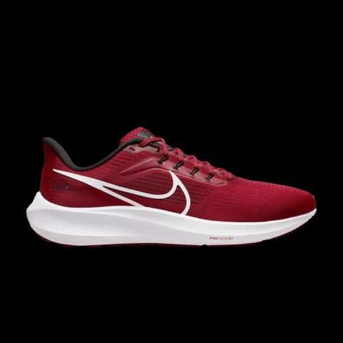 Nike Air Zoom Pegasus 39 'Arkansas'