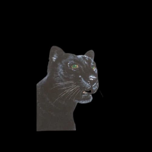 Denim Tears Green Eyed Panther T-Shirt 'White'