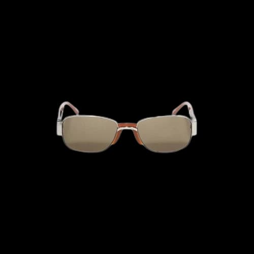 Dries Van Noten Rectangular Sunglasses 'Silver/Brown'