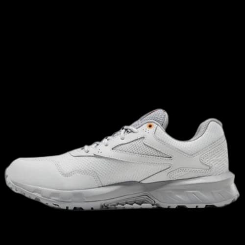 Reebok Ridgerider Gtx 5.0 Gray (Women's)