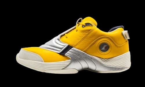 Reebok Answer 5 Eric Emanuel