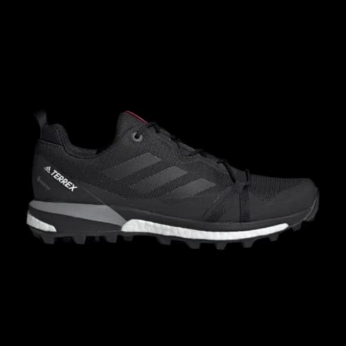 adidas Terrex Skychaser LT GTX 'Carbon' (Women's)