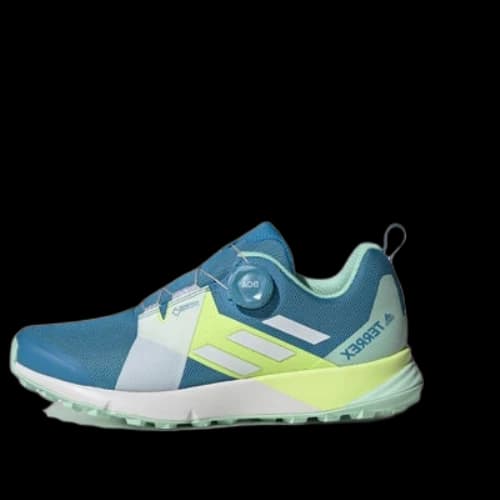 adidas Terrex Two Boa Gore-tex Trail Running 'Blue Green' (Women's)