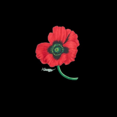 KENZO Poppy by Nigo Long Sleeve T-shirt White