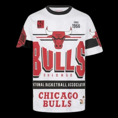 Mitchell & Ness NBA Origins Premium Vintage T-Shirt 'Chicago Bulls Team'