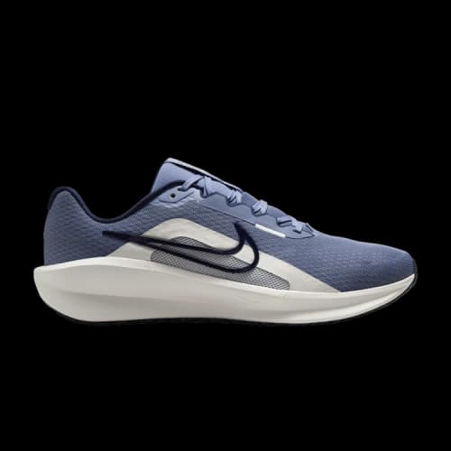 Nike Downshifter 13 Ashen Slate Sail Pure Platinum Obsidian