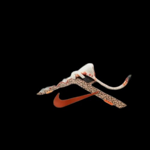 Nike Air Zoom Winflo 10 'Beige Rust' (Women's)