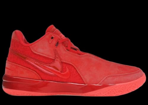Nike Zoom LeBron NXXT Gen James Gang